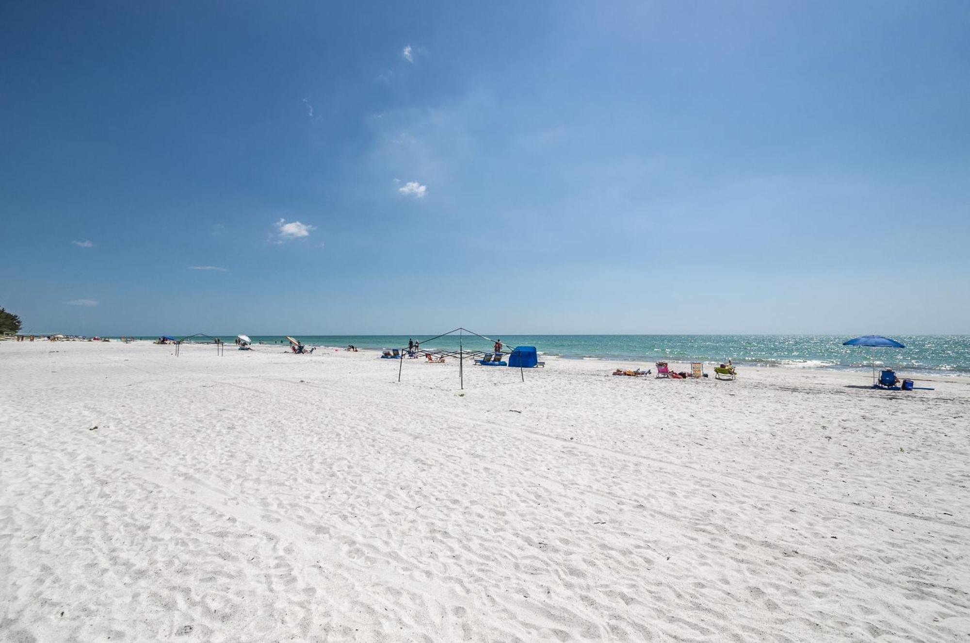 The Rose Aparthotel Clearwater Beach Exterior photo